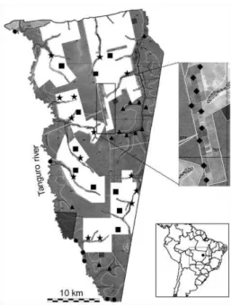 FIG. 1. Location of sample plots at the Fazenda Tanguro, Querência, Mato Grosso (Brazil)
