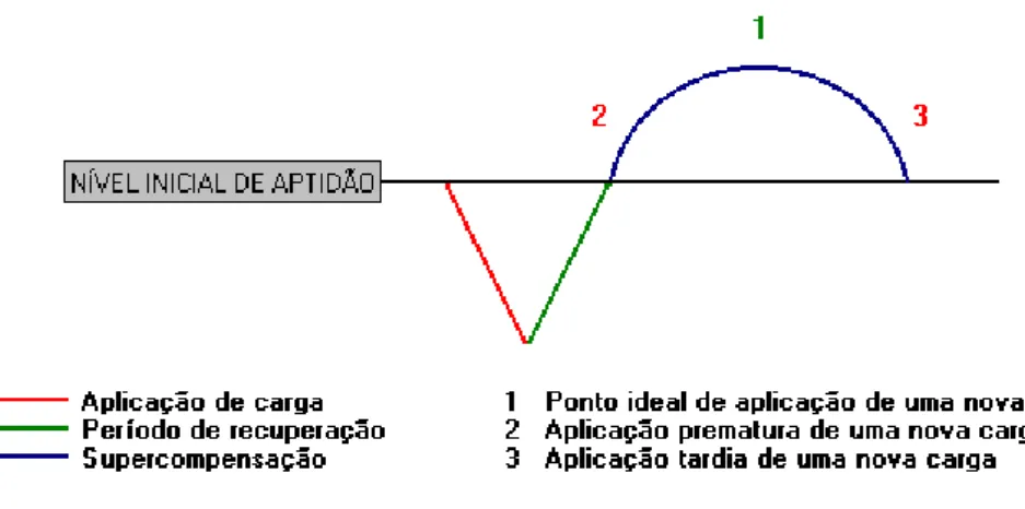 Figura 1  –  Ponto de aplicação de nova carga de trabalho na curva de assimilação compensatória