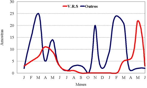 Figura  7  -  Distribuição  sazonal  dos  casos  de  infecção  respiratória  aguda,  atribuídos  ao  VRS  e  aos  vírus  Influenza, Parainfluenza, Adenovirus, em Belém-PA, no período de janeiro de 2003 a junho de 2004