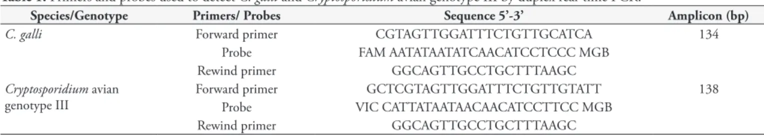 Table 1. Primers and probes used to detect C. galli and Cryptosporidium avian genotype III by duplex real-time PCR.