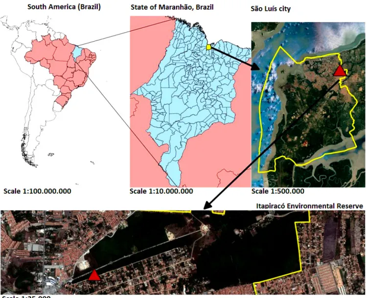 Figure 1. Map of Reserva Ambiental do Itapiracó, São Luís city, state of Maranhão, northeastern Brazil, where Azara’s agouti blood samples  were collected between January and May 2016