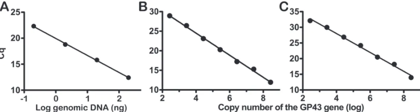 Figure 1 - Standard curves for qPCR - A) Correlation between the amount of genomic DNA from  P