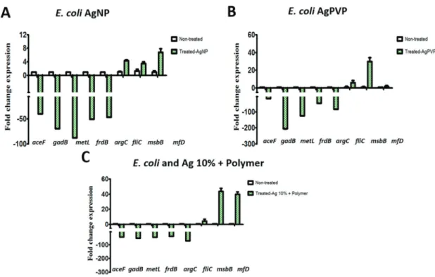Figure 6 - Gene expression studies in E. coli exposed to AgNP, AgPVP, Ag 10% + Polymer
