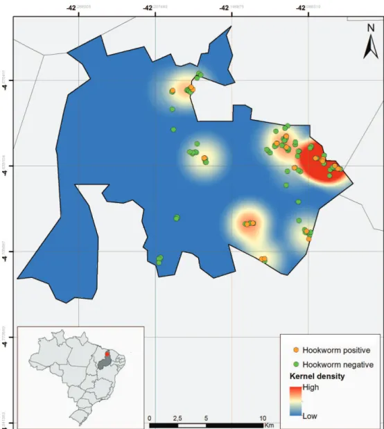 Figure 5 - Mapping on the distribution of hookworm infection (municipalities) depicting hotspots (Kernel density) 