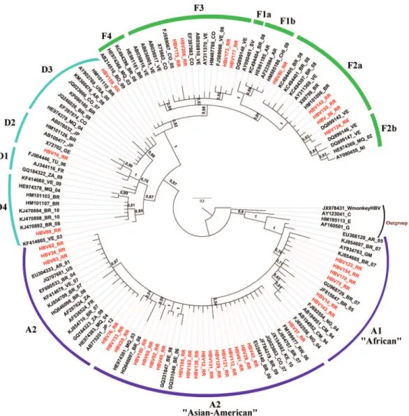 Figure 2 - Phylogenetic analysis of HBV strains isolated in Roraima. The maximum clade credibility (MCC) tree was estimated by  Bayesian analysis of 130 sequences according to the S region (280 bp)