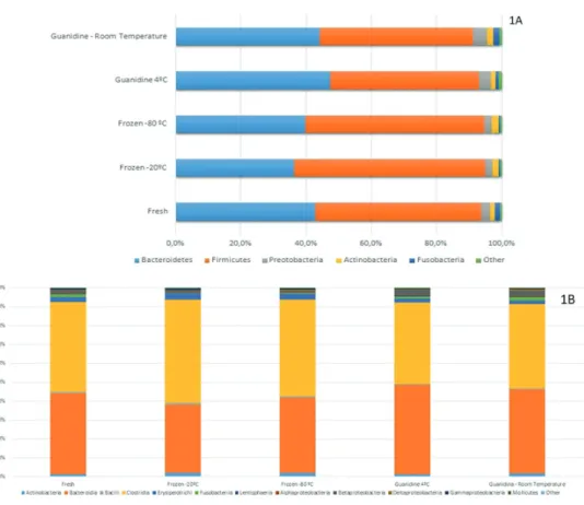Figure 1 - Relative abundance of bacteria represented by OTUs in different sample storage conditions according to: 1A – Phyla; 