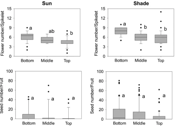 Figure 2 – Boxplots of flower number/spikelet and seed number/flower for spikelets located at the bottom, middle or top  of the infructescence of  Aechmea distichantha  plants grown in the sun and in the shade