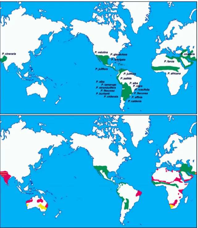 Figura 1 – a. distribución natural del género Prosopis y principales especies; b. distribución actual del género y principales  especies: (verde) nativo, (rojo) introducido P