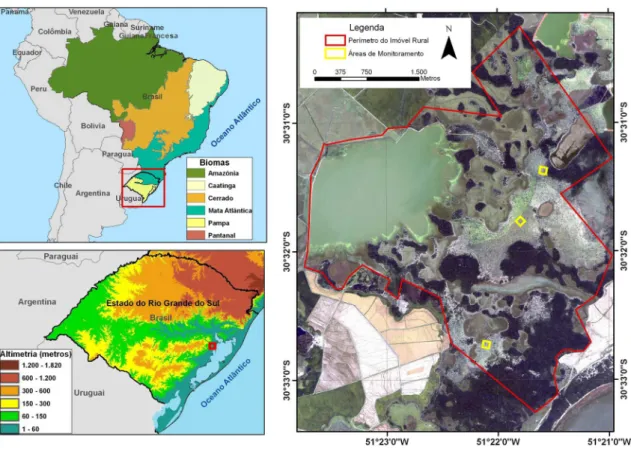 Figura 1 – Localização das três áreas amostrais do ecossistema de butiazal em Tapes, Rio Grande do Sul, Brasil; 