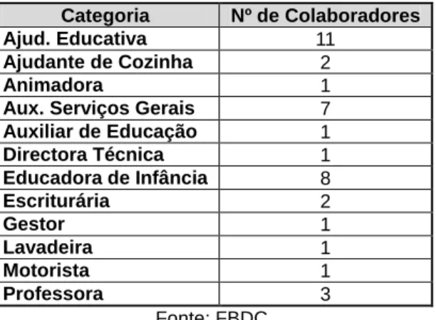 Figura 3: Número médio de colaboradores da FBDC por categoria em 2010 