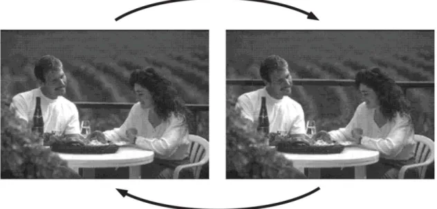 Figure 2.7 – Example of two images that alternate with a blank screen. Adapted from [ROC97].