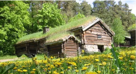 Figura 2.2 Telhado de casa típica localizada na Noruega 