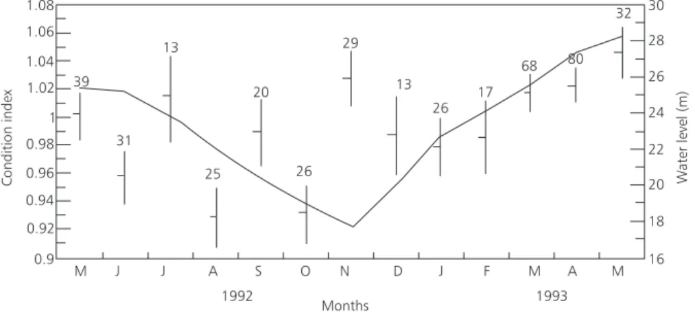 Fig. 5 — Condition index of C. macropomum and water level fluctuations. Mean values, confidence limits of 95% and size of sample.