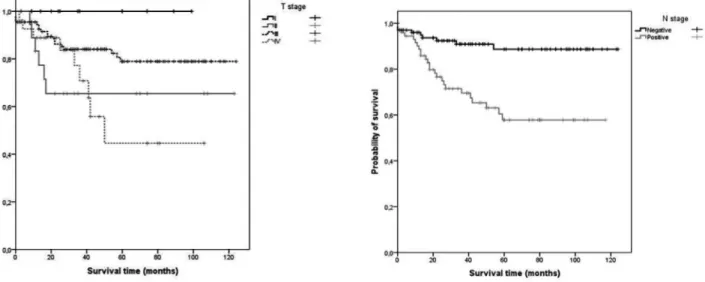 FIGURA 1 - Curva de sobrevida estimada de Kaplan-Meier para  os pacientes com câncer de cólon esquerdo de  acordo com o parâmetro T