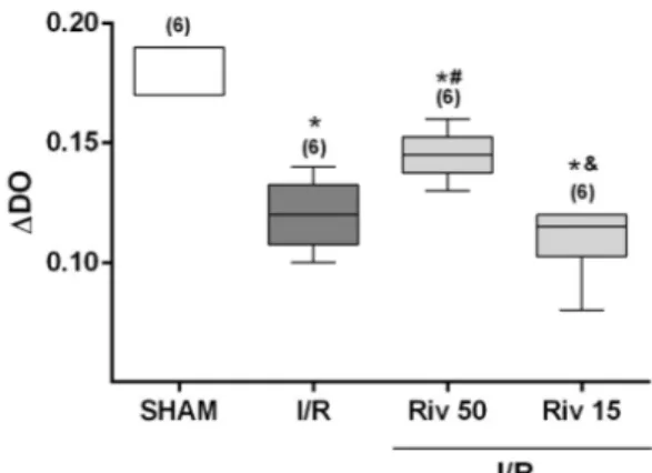 Figure 2   –  Malondialdeido  (MDA)  concentrations  determined  in  animals  SHAM  or  subjected  to  ischemia for 60 minutes, followed by reperfusion of  15 minutes, studied without any pharmacological  treatment  (I/R)  or  treated  with  rivastigmine  