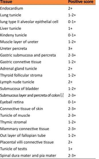 Table 11 -  APZ001 cross activity in monkey organs.