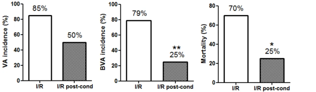 Figure 1 -  Histograms representing percentages of VA, BVA and mortality incidence in groups I/R and I/R +  preCI