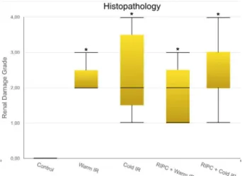 Figure 3 - Comparison between groups and F2- F2-isoprostanes tissue levels. No statistically difference  between interventional groups and control kidneys