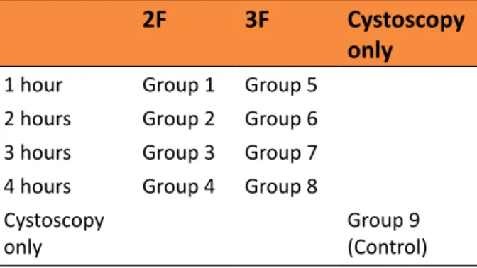 Table 1 - Groups according to catheter size and  duration.