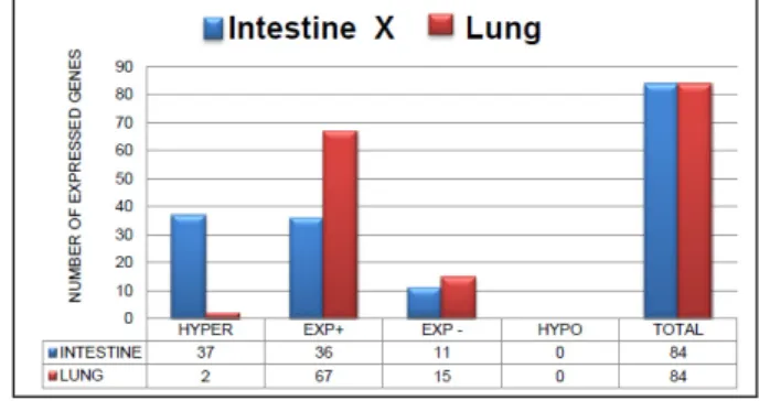Figure 1 shows the expression profiles  of  84  genes  related  to  oxidative  stress  and  antioxidant defense in intestinal and pulmonary  tissue  during  IIR  according  to  the  criteria  of  positive (+) (above the threshold) expression,  negative (-)