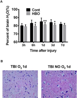 Figure 3 -  HBO  treatment  reduces  brain  edema  and  attenuates  neuropathogenesis