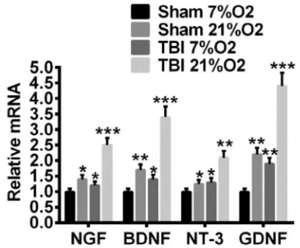 Figure 5 -  High  oxygen  density  promotes  NTFs  expression  in  cultured  astrocytes