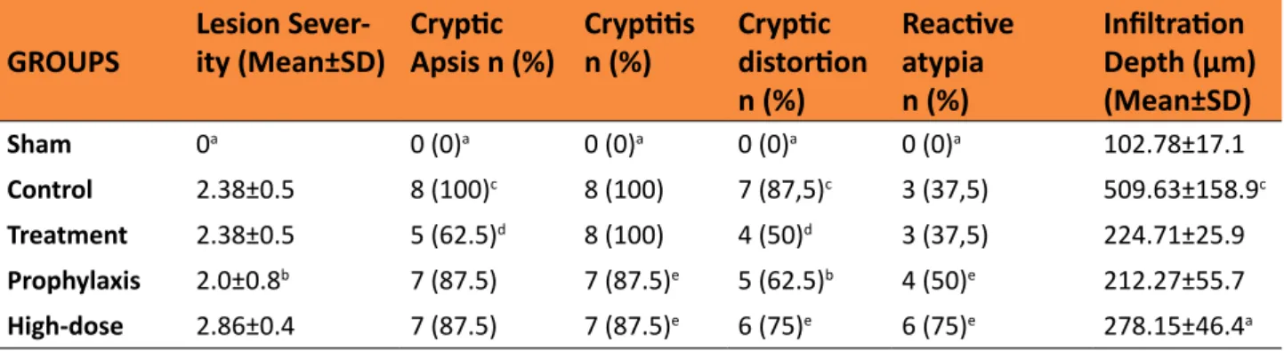 Table 1 -  Histopathological  findings  of  five  experimental  groups  in  the  model  of  acute  radiation  proctitis