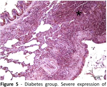 Figure 6   -  Diabetes+melatonin  group.  Moderate  expression of cleaved caspase 3 in lung tissue