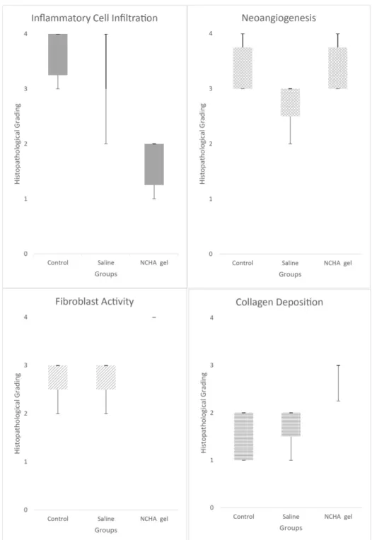 Figure 6 -  The box plots showing the changes in the histopathological grade. The boxes represent the median,  25th, and 75th percentiles, and the whisker lines show the maximum and minimum levels