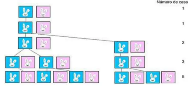 Figura 5: “Árvore genealógica” da reprodução dos coelhos até ao 5.º mês  6
