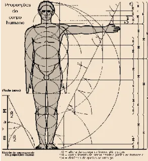 Figura 23: “Homem de Vitrúvio” de Leonardo da Vinci  27          Figura 24: Homem segundo Leonardo da Vinci  28