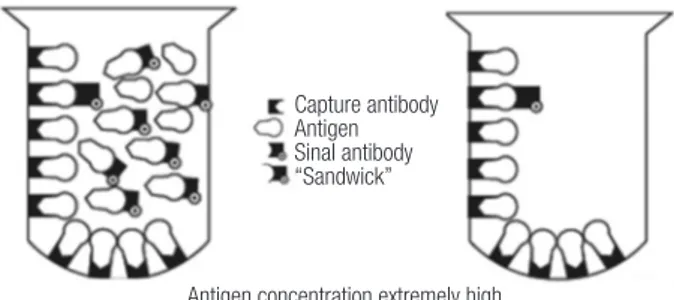 Figure 2. Schematic depiction of “hook effect.” Left, Extremely high  antigen concentrations saturate both capture and signal antibodies and  prevent “sandwich” formation