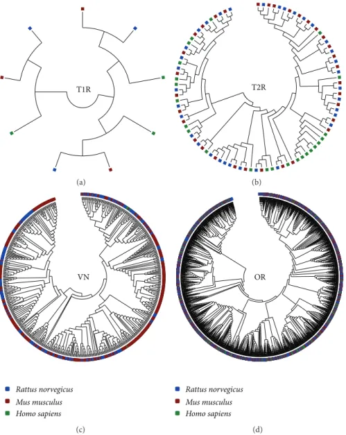 Figure 6: Reconstructed phylogenetic tree of the chemoreceptor families. Each square represents a CR gene
