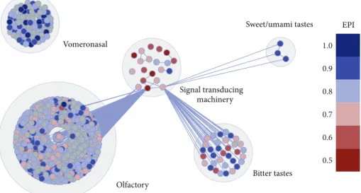 Figure 7: Graphical representation of Mus musculus chemosensory network. EPI values are plotted on each node by a color scale