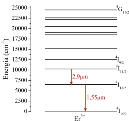 Figura 2.14. Diagrama dos níveis de energia do íon Érbio trivalente (Er 3+ ) e algumas transições ópticas  de grande interesse para aplicações tecnológicas (DIGONNET, 1993)
