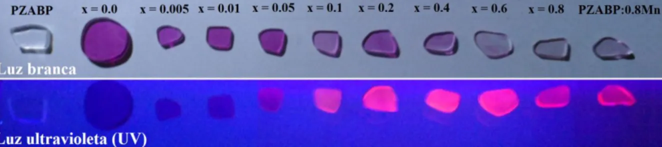 Figura I. 2. Fotografias de amostras vítreas contendo NCs de Zn 1-x Mn x Te, com concentrações variando de  x =  0,000 a x = 0,800