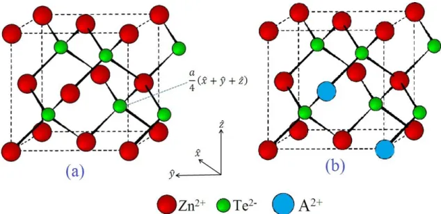 Figura II. 1. Estrutura cristalina do tipo zincblende (ASHCROFT e MERMIN, 1976) para semicondutores ZnTe  (a) e Zn 1-x A x Te (A = Mn; Co) (b)