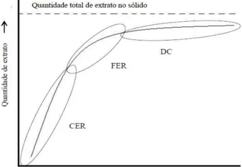 Figura 2  –  Curva de extração do processo de SFE com suas etapas: taxa de extração constante  (CER); taxa de extração decrescente (FER); período difusional (DC)