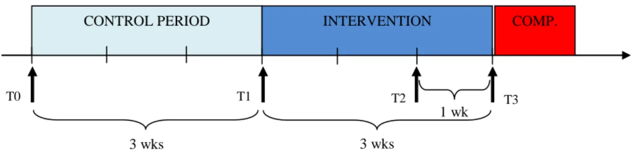 Figure 2: Schematic representation of the experimental protocol time line 