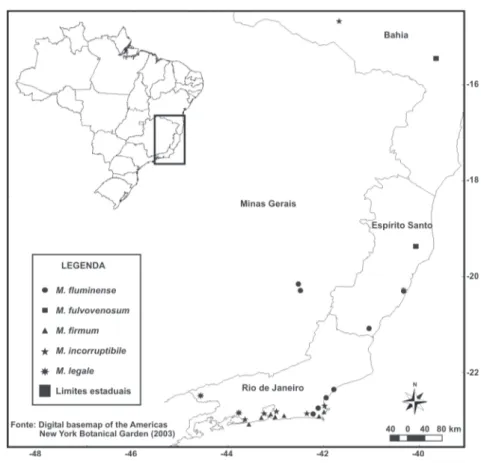 Figura 6 - Distribuição geográfica de Machaerium incorruptibile e espécies afins.