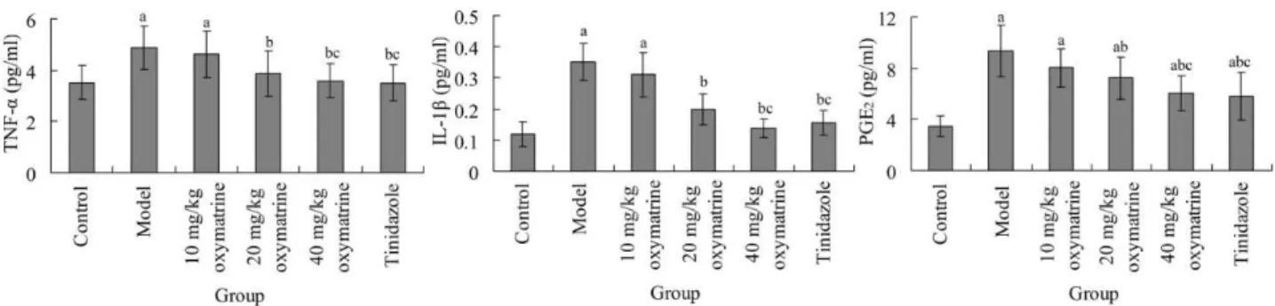 Figure 1 -  Serum TNF-α, IL-1β and PGE 2  levels in different groups.  a P<0.05 compared with control group; 