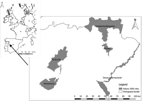 Fig. 12.1  Natura 2000 network studied SCI in the north of Portugal (Source: Own elaboration)