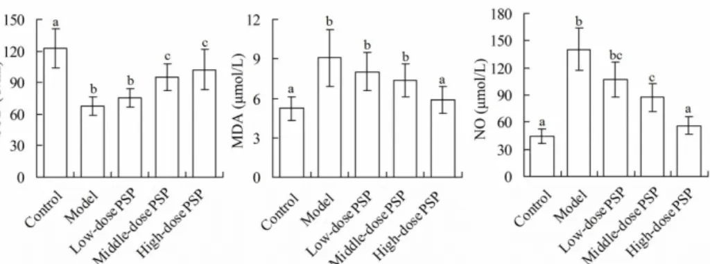 Figure 5 -  Serum  SOD,  MDA  and  NO  levels  in  5  groups.  For  each  index,  values  with  different  characters  (a,  b,  c......)  meant  significant  difference  among  different  groups  (P<0.05)