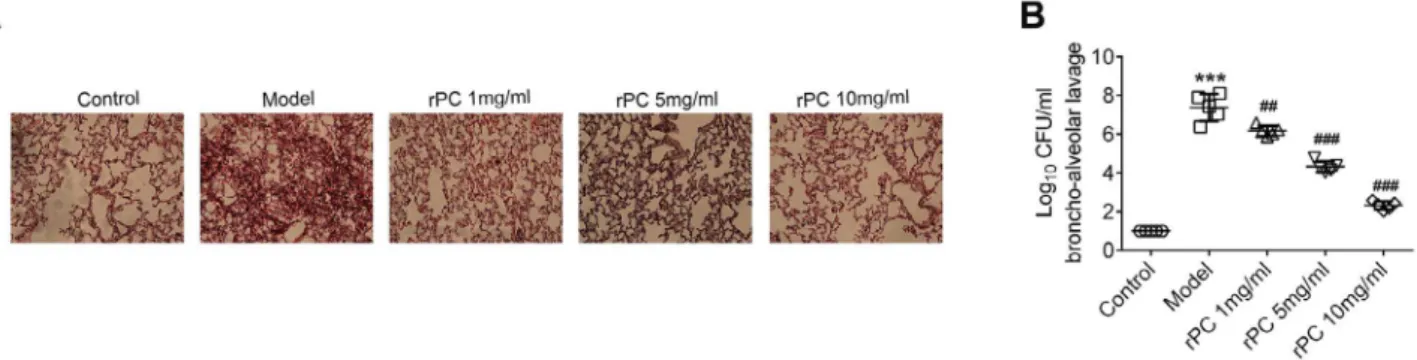Figure 2 - rPC alleviates the pathologic symptoms of pneumonia in  S. aureus -infected mice