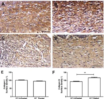 Figure 9 -  Representative  images  of  TGFβ3  immunohistochemistry  in   andiroba-based-emulsion-treated  and  untreated  wounds  and  morphometry