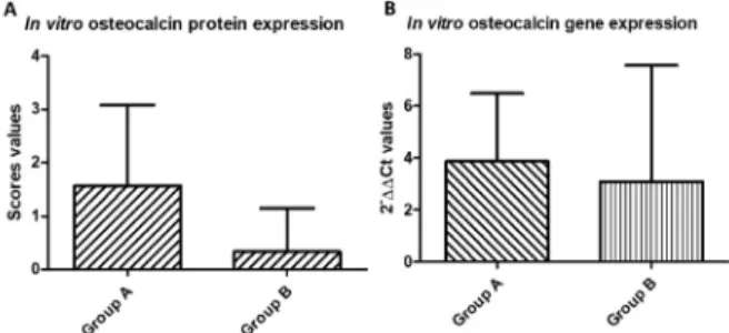 Figure 1 -  Osteocalcin protein expression of  in vitro  groups (A )  and  osteocalcin  gene  expression  of  in  vitro groups (B).