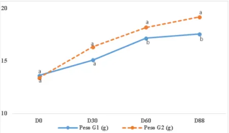 Figura 1. Representação gráfica da evolução do peso vivo dos achigãs durante 88 dias de ensaio (T-Test, letras diferentes nas médias indicam P&lt;0,05).
