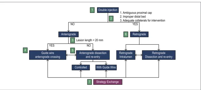 Figure 2 – Hybrid Algorithm for Crossing Chronic Coronary Occlusions: The hybrid algorithm begins with double coronary injection (Item 1), which allows the evaluation  of several angiographic parameters (Item 2) and selection of the type of primary approac