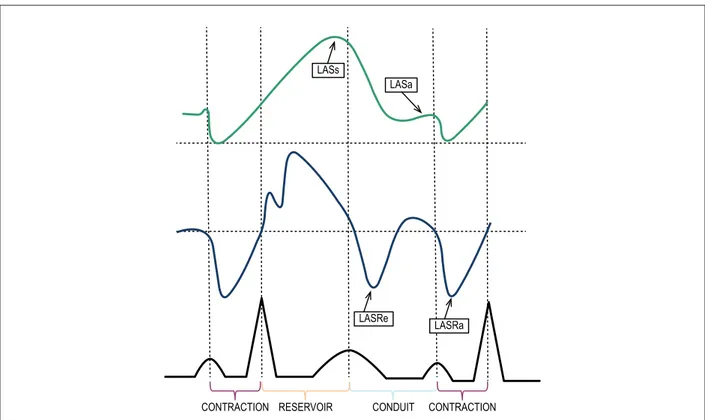 Figure 1 – Left atrial phasic functions and their relationship with the cardiac cycle