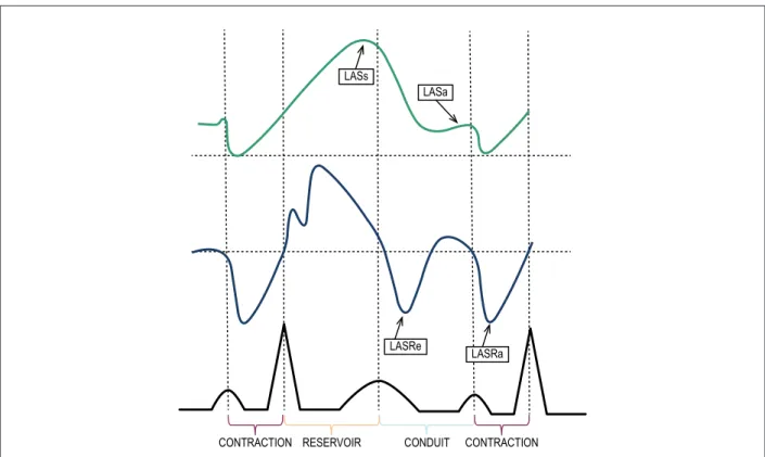 Figure 1 – Left atrial phasic functions and their relationship with the cardiac cycle